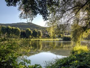 LOIRE