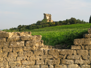 CÔTE　DU　RHONE